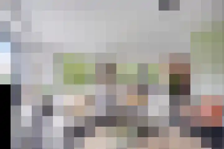 Valeriaan 35 Meppel thumbnail 7
