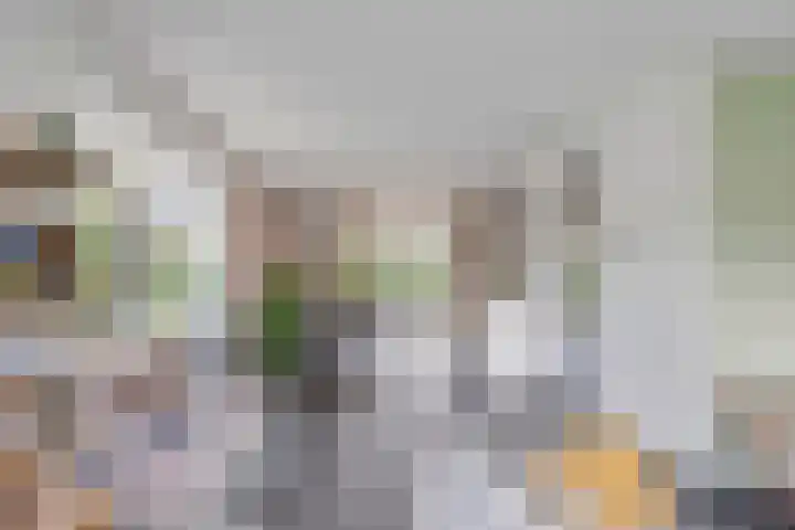 Valeriaan 35 Meppel thumbnail 8
