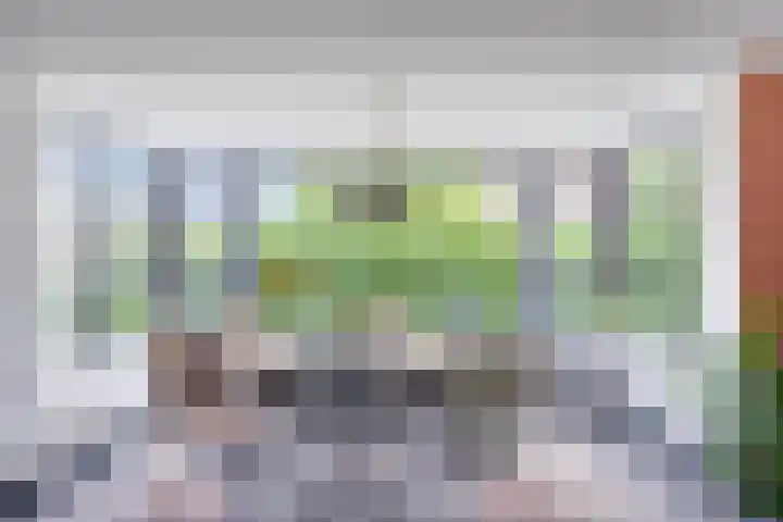 Valeriaan 35 Meppel thumbnail 9