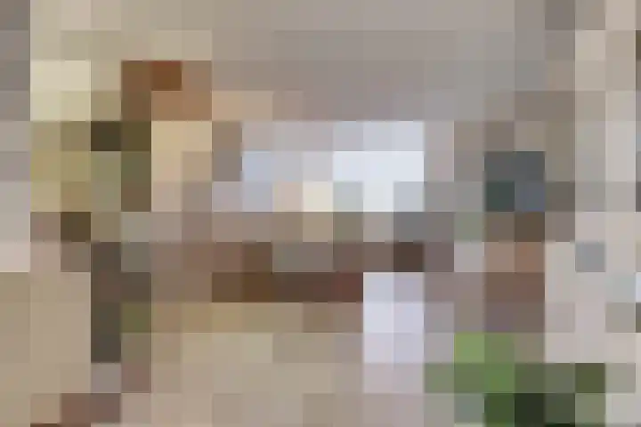 Valeriaan 36 Culemborg thumbnail 10