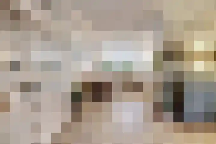 Valeriaan 36 Culemborg thumbnail 11
