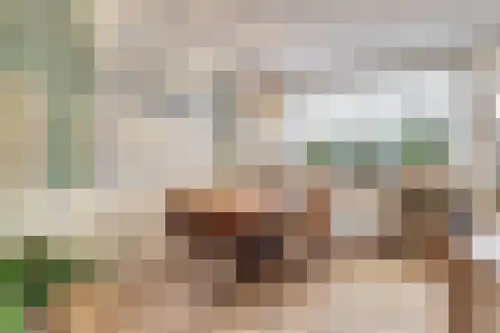 Valeriaan 36 Culemborg thumbnail 12