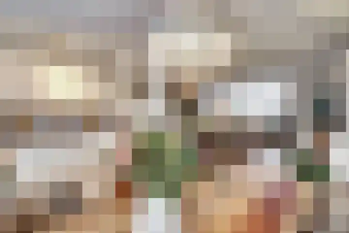 Valeriaan 36 Culemborg thumbnail 13