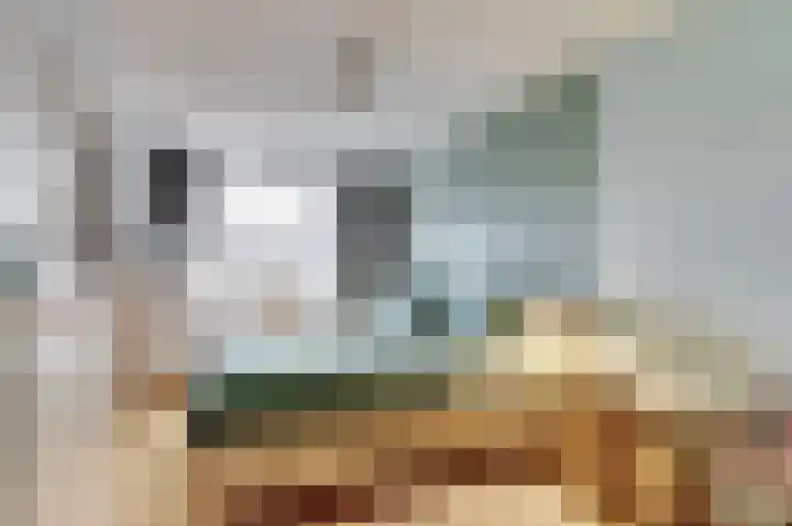 Valeriaan 36 Culemborg thumbnail 18
