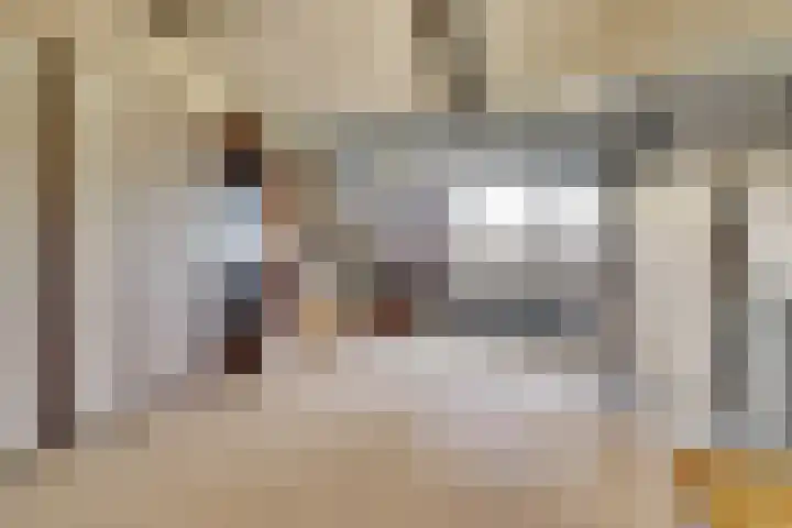 Valeriaan 36 Culemborg thumbnail 33