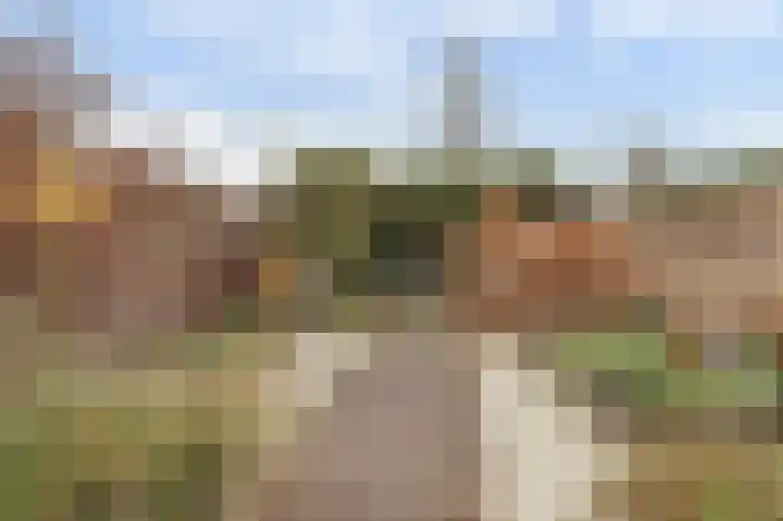 Valeriaan 36 Culemborg thumbnail 35