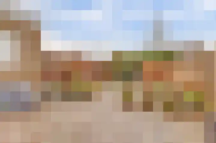 Valeriaan 36 Culemborg thumbnail 36