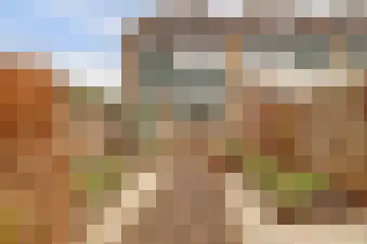 Valeriaan 36 Culemborg thumbnail 37