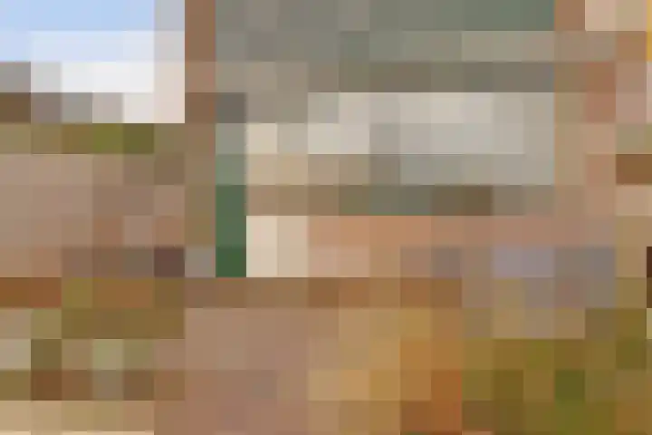 Valeriaan 36 Culemborg thumbnail 38