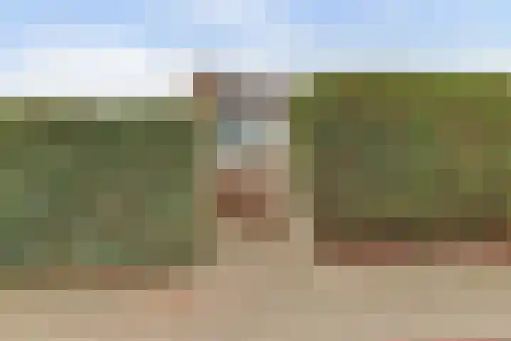 Valeriaan 36 Culemborg thumbnail 39