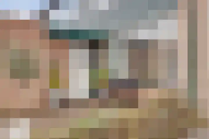 Valeriaan 36 Culemborg thumbnail 4