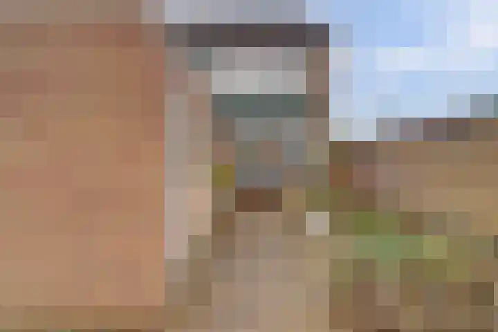 Valeriaan 36 Culemborg thumbnail 40