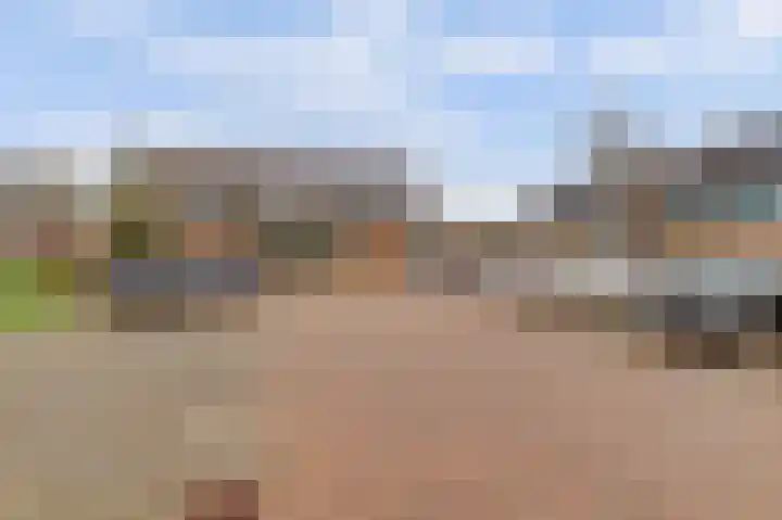 Valeriaan 36 Culemborg thumbnail 41