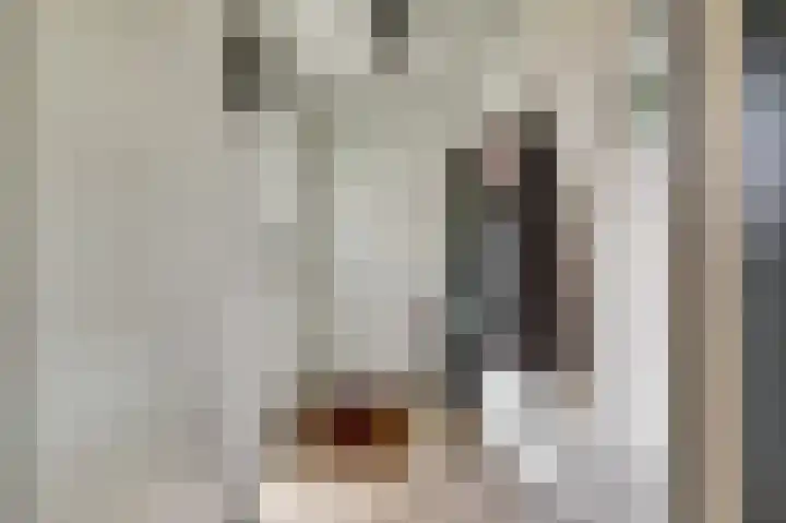 Valeriaan 36 Culemborg thumbnail 6