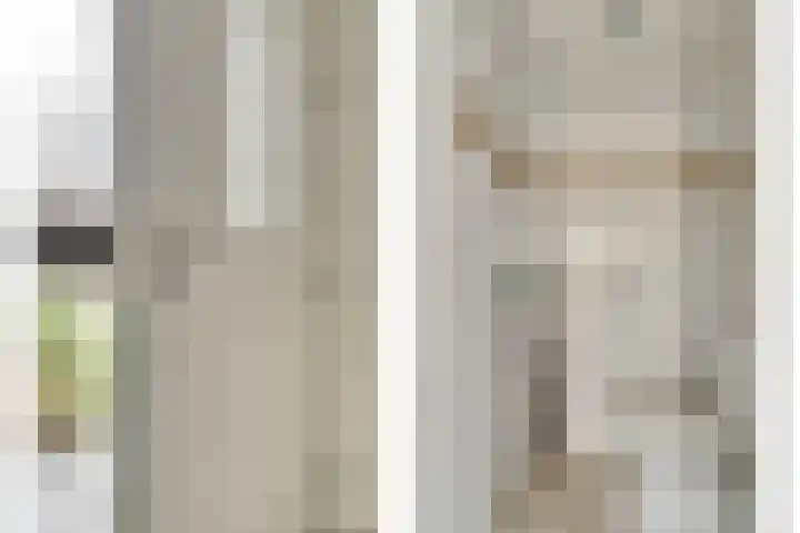 Valeriaan 36 Culemborg thumbnail 7