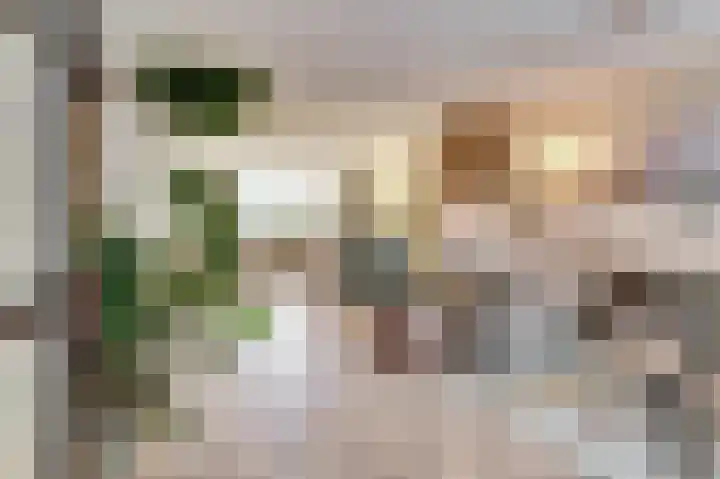 Valeriaan 36 Culemborg thumbnail 8