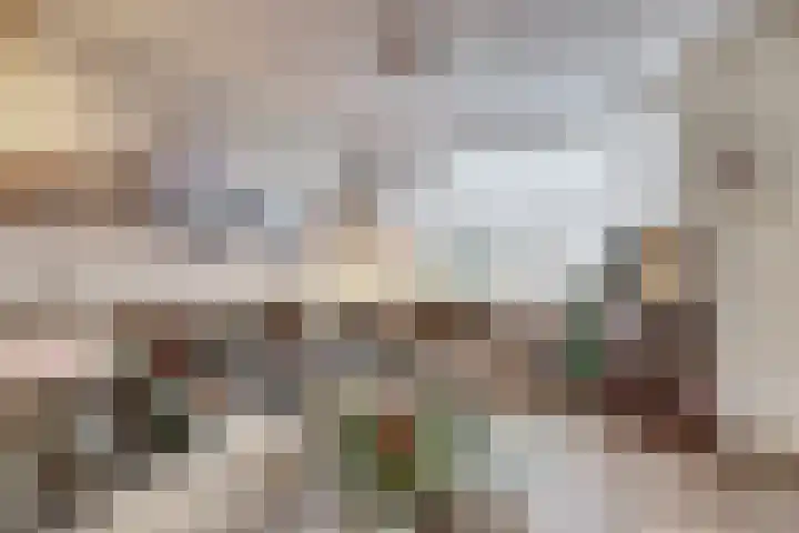 Valeriaan 36 Culemborg thumbnail 9