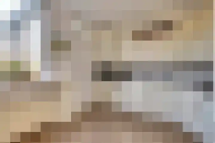 Valeriaan 41 Culemborg thumbnail 10