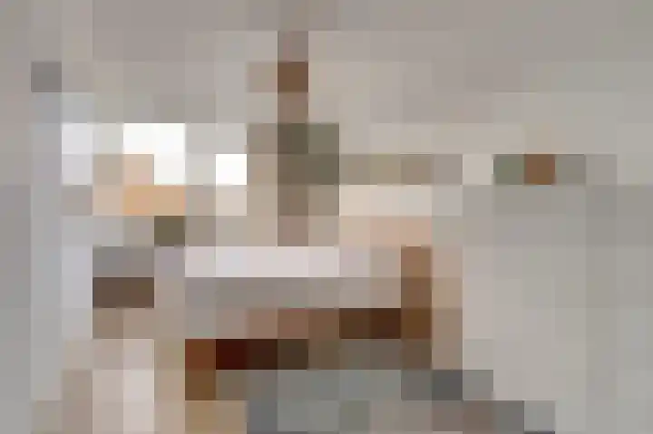 Valeriaan 41 Culemborg thumbnail 17