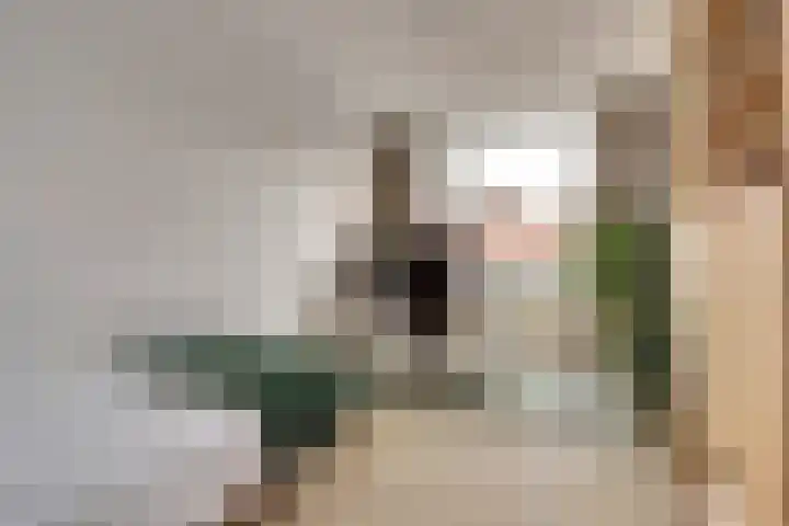 Valeriaan 41 Culemborg thumbnail 21