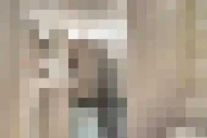 Valeriaan 41 Culemborg thumbnail 23