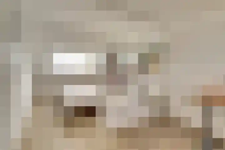 Valeriaan 41 Culemborg thumbnail 31