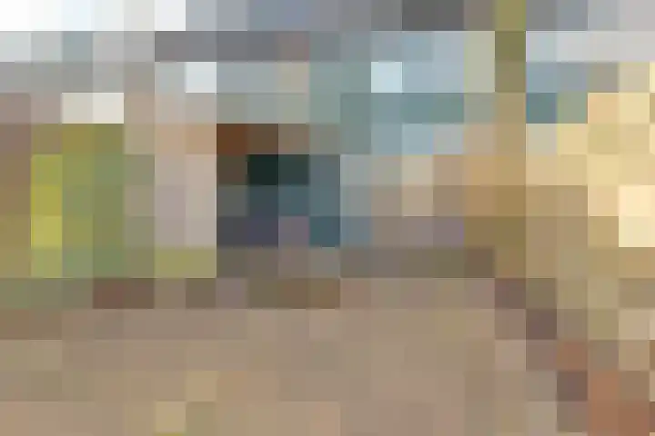 Valeriaan 41 Culemborg thumbnail 32