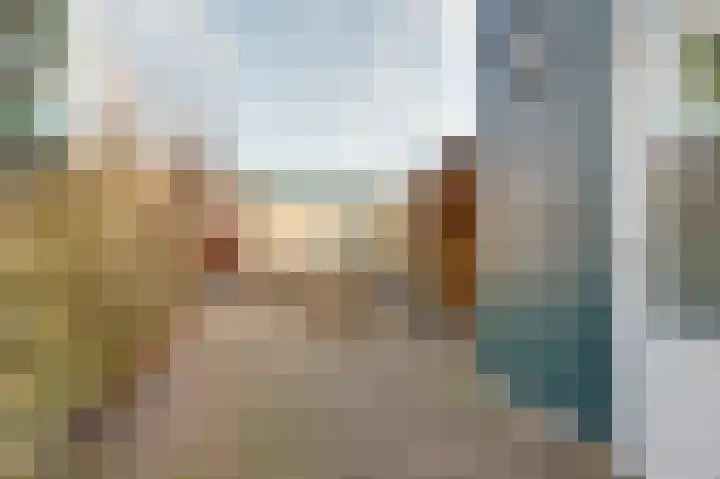 Valeriaan 41 Culemborg thumbnail 33