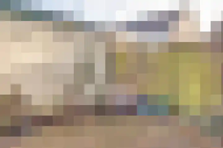 Valeriaan 41 Culemborg thumbnail 36