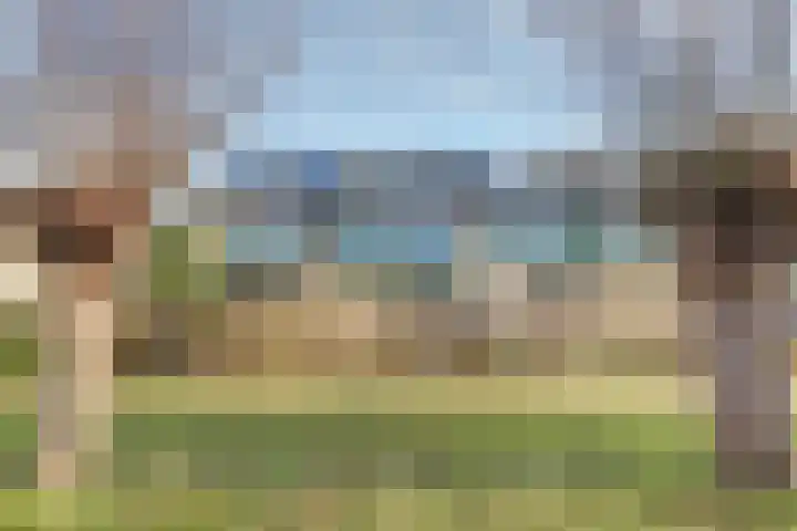 Valeriaan 41 Culemborg thumbnail 37