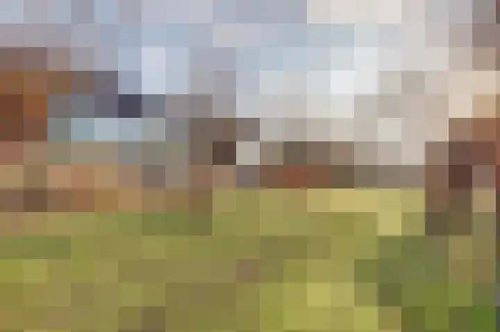 Valeriaan 41 Culemborg thumbnail 38