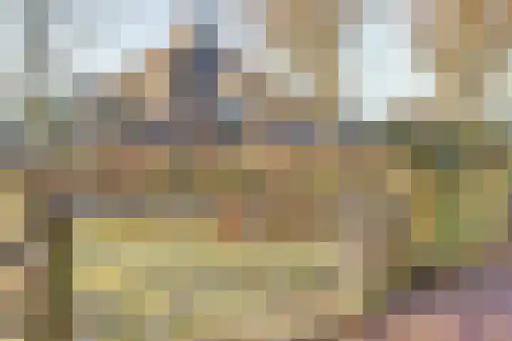 Valeriaan 41 Culemborg thumbnail 39