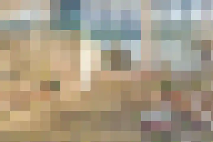 Valeriaan 41 Culemborg thumbnail 4