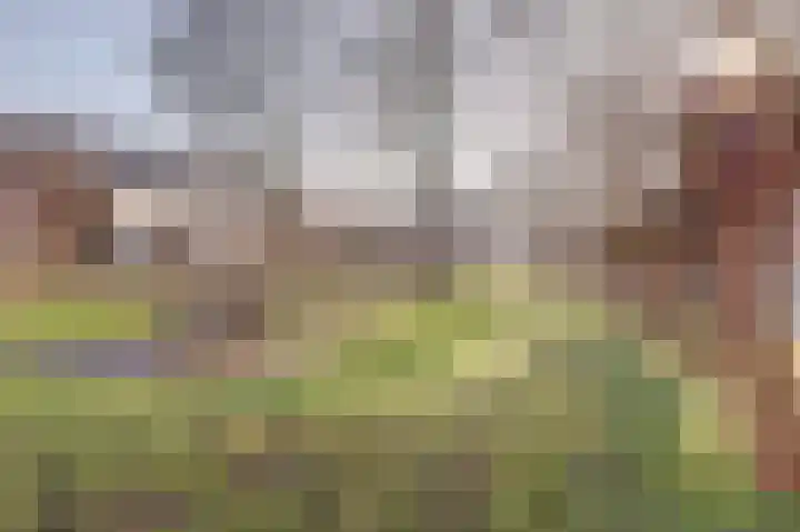 Valeriaan 41 Culemborg thumbnail 40