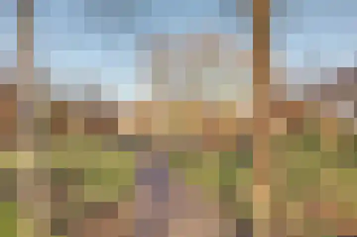 Valeriaan 41 Culemborg thumbnail 41