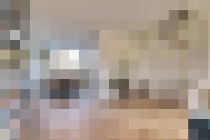 Valeriaan 41 Culemborg thumbnail 5