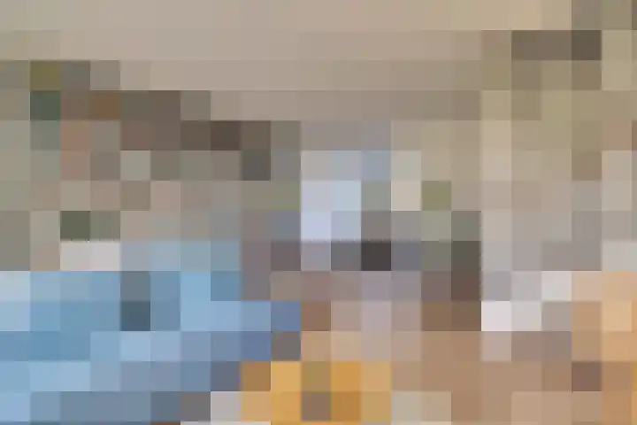 Valeriaan 41 Culemborg thumbnail 7
