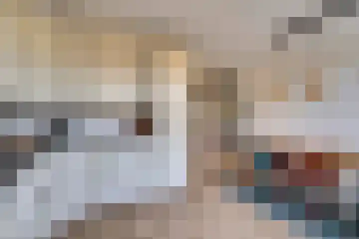 Valeriaan 41 Culemborg thumbnail 8