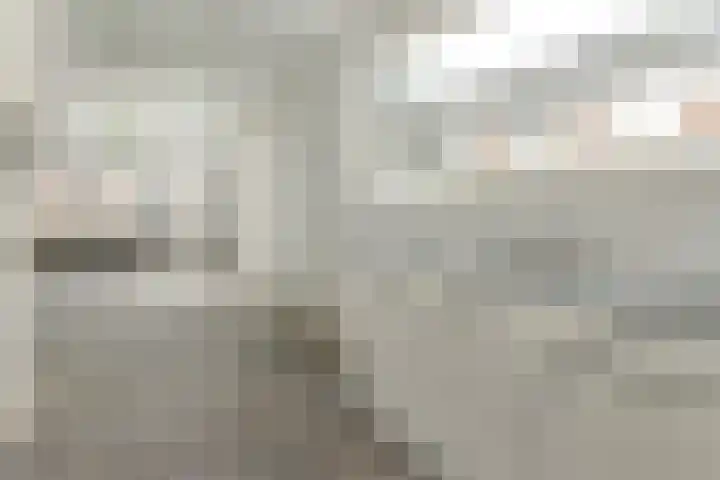 Valeriaan 42 Heerenveen thumbnail 10