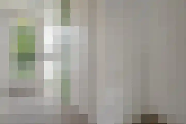 Valeriaan 42 Heerenveen thumbnail 13