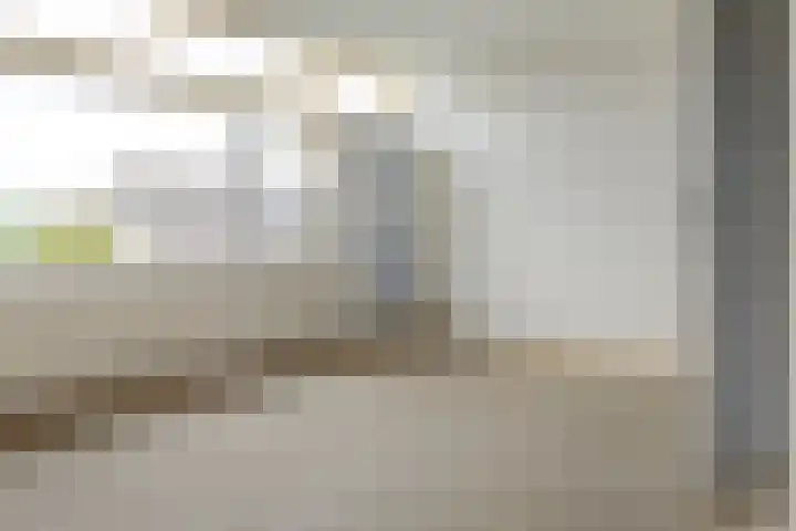 Valeriaan 42 Heerenveen thumbnail 19
