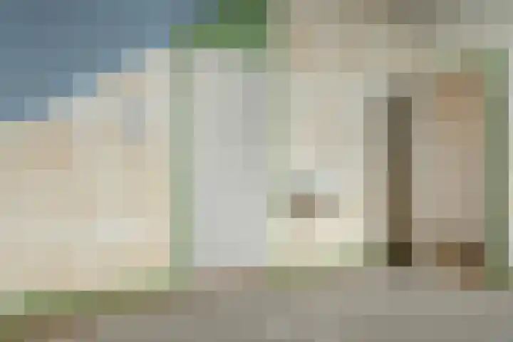 Valeriaan 42 Heerenveen thumbnail 25