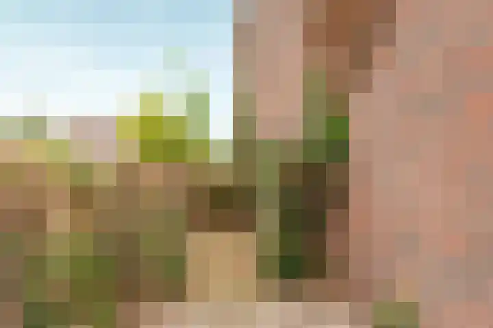 Valeriaan 42 Heerenveen thumbnail 27