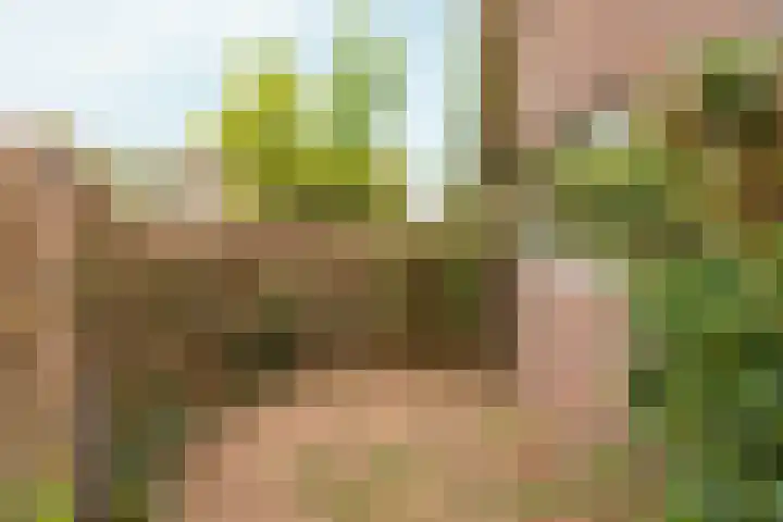 Valeriaan 42 Heerenveen thumbnail 28