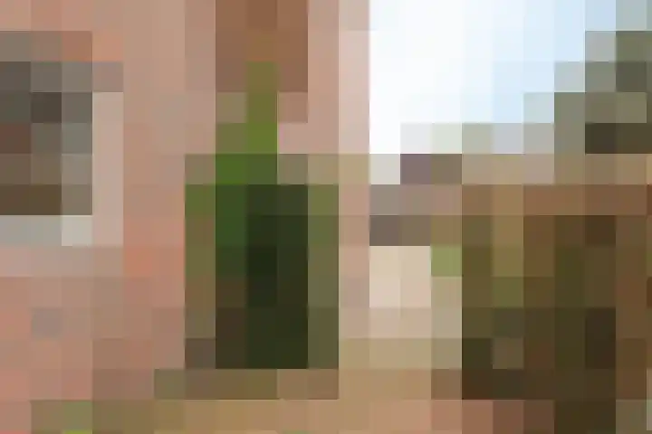 Valeriaan 42 Heerenveen thumbnail 29