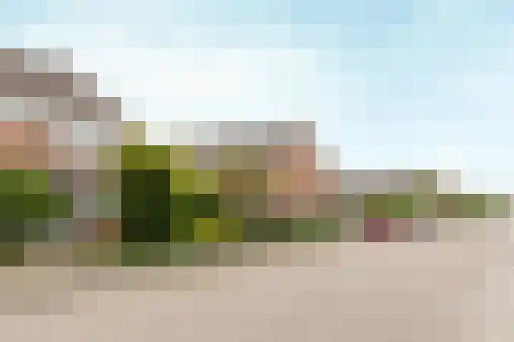 Valeriaan 42 Heerenveen thumbnail 35