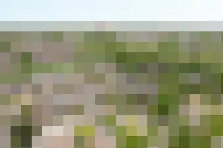 Valeriaan 42 Heerenveen thumbnail 36