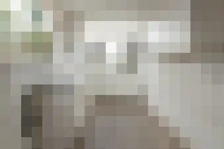 Valeriaan 42 Heerenveen thumbnail 4