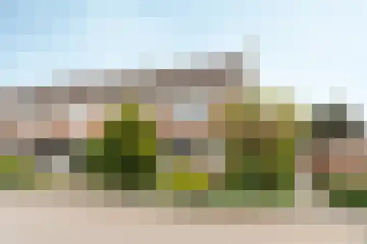 Valeriaan 42 Heerenveen thumbnail 40