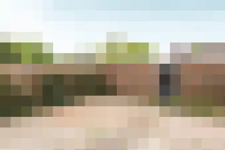 Valeriaan 42 Heerenveen thumbnail 6